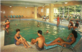 Saltz's Hotel Indoor Pool