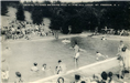 Another Postcard of the Swimming Pool at Pine Hill Lodge