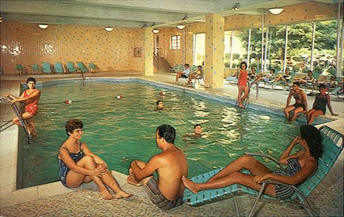 Saltz's Hotel Indoor Pool