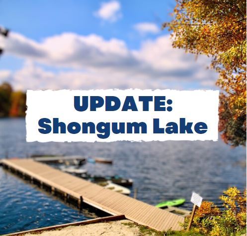 Background Photo of Shongum Lake 