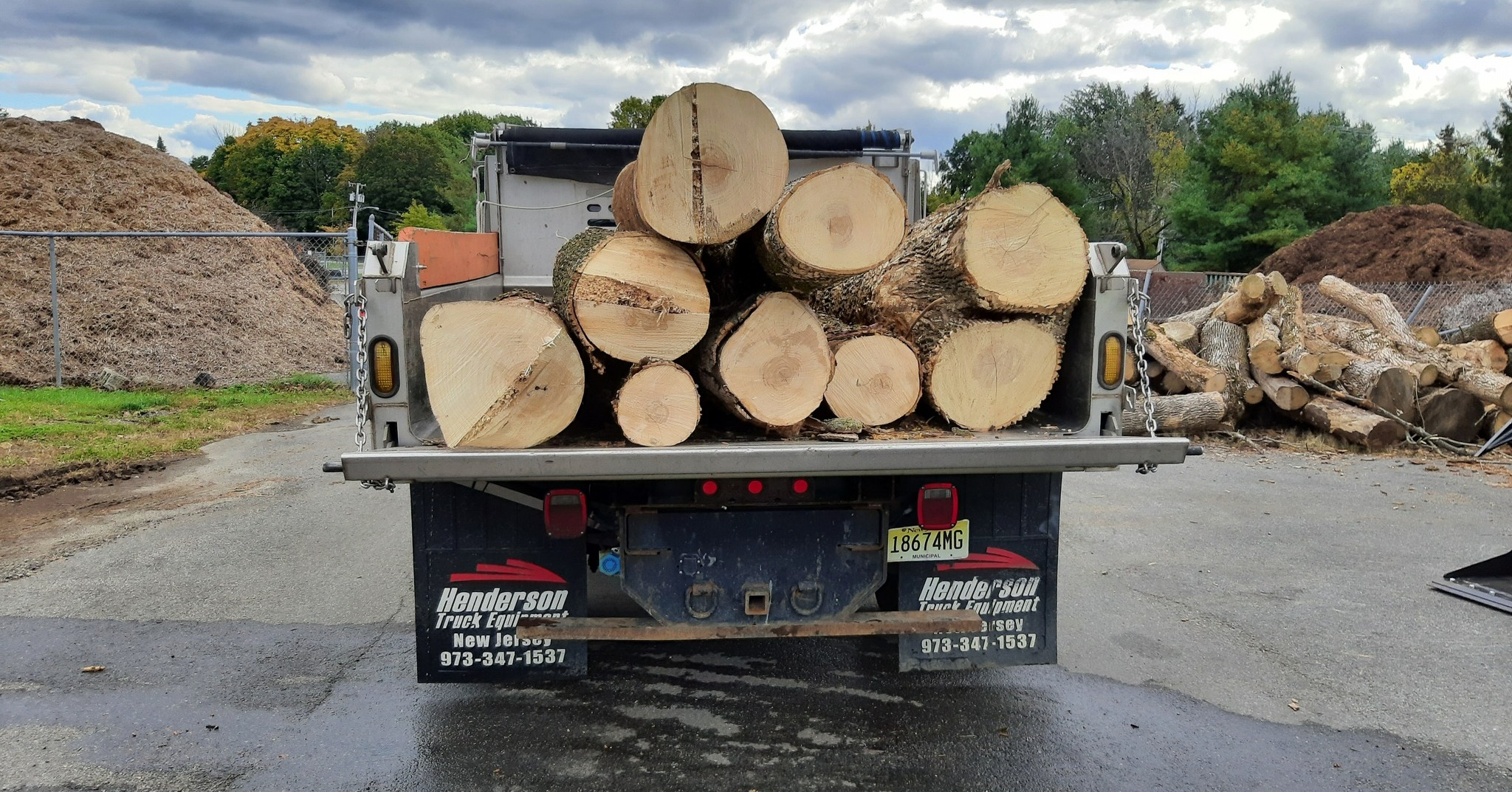 Back view of truck with logs