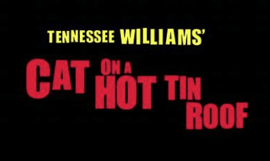 Cat On A Hot Tin Roof