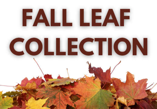 Fall Leaf Collection